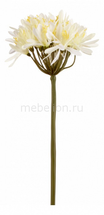 Цветок (75 см) Декоративный лук 21002500