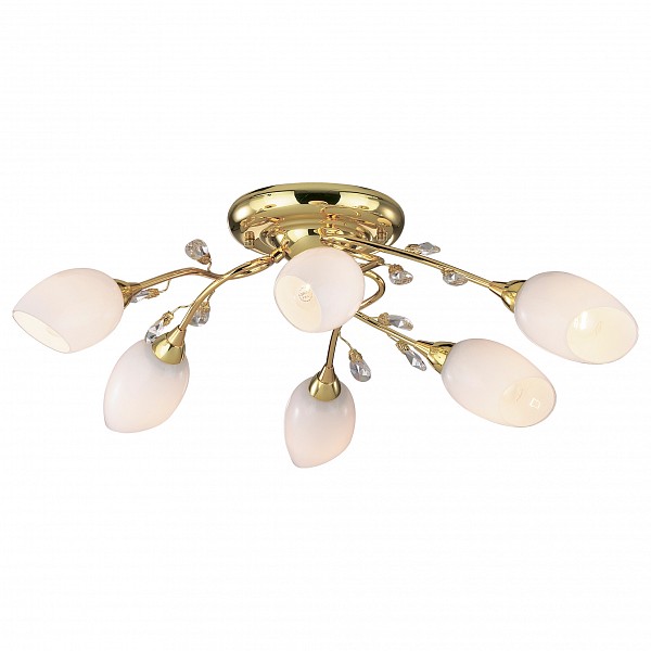    Odeon Light - Odeon Light - Odeon LightFiera 1604/6 - OD_1604_6, - Odeon Light (), - Fiera,,  - 24, ,  - 1,  - , , ,,  - 230,,  - 730,    - , ,  - ,     - ,   - ,    - , ,  - , -   ()   (LED), E14; 220 ; 60 ,,  - I, , W - 360,   - , -  - 6,  - 6,   - ,    , , IP - 20,   -  ,,  - 3.5,  -  Fiera 1604/6        Odeon Light,       .    Fiera    ,            .   Fiera 1604/6 -   ,       :             .<br><br>: OD_1604_6<br>: Odeon Light ()<br>: Fiera<br>, : 24<br> , : 1<br> : , , <br>, : 230<br>, : 730<br>   : , <br> : <br>    : <br>  : <br>   : , <br> : <br>:   () <br> <br> (LED), E14; 220 ; 60 ,<br> : I<br> , W: 360<br>  : <br> - : 6<br> : 6<br>  : ,    <br> , IP: 20<br>  :  <br>, : 3.5<br> :  Fiera 1604/6        Odeon Light,       .    Fiera    ,            .   Fiera 1604/6 -   ,       :             .