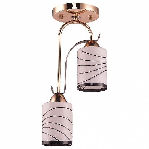 Светильник на штанге Basic 20 192/2S, Basic 20 192/2S 
Светильник на штанге Basic 20 192/2S, Basic 20 192/2S