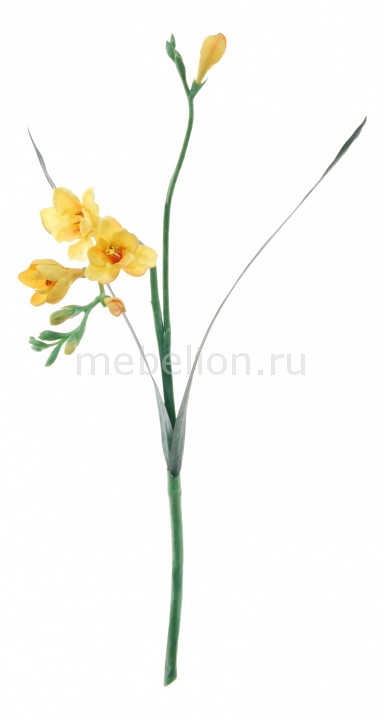 Цветок (60 см) Фрезия 56004800