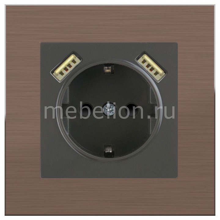 Розетка с заземлением, шторками и 2хUSB Aluminium (Серо-коричневый) WL07-SKGS-USBx2-IP20+WL07-SKGS-USBx2-IP20 Werkel