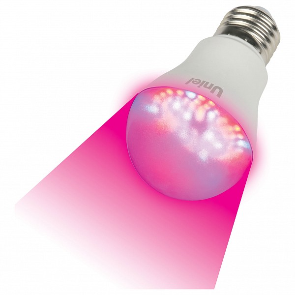 Лампа светодиодная E27 175-250В 9Вт красный LED-A60-9W/SP/E27/CL ALM01WH картон, E27 175-250В 9Вт красный LED-A60-9W/SP/E27/CL ALM01WH картон
Лампа светодиодная E27 175-250В 9Вт красный LED-A60-9W/SP/E27/CL ALM01WH картон, E27 175-250В 9Вт красный LED-A60-9W/SP/E27/CL ALM01WH картон