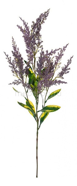 Ветка (75 см) Щетинник 58012900