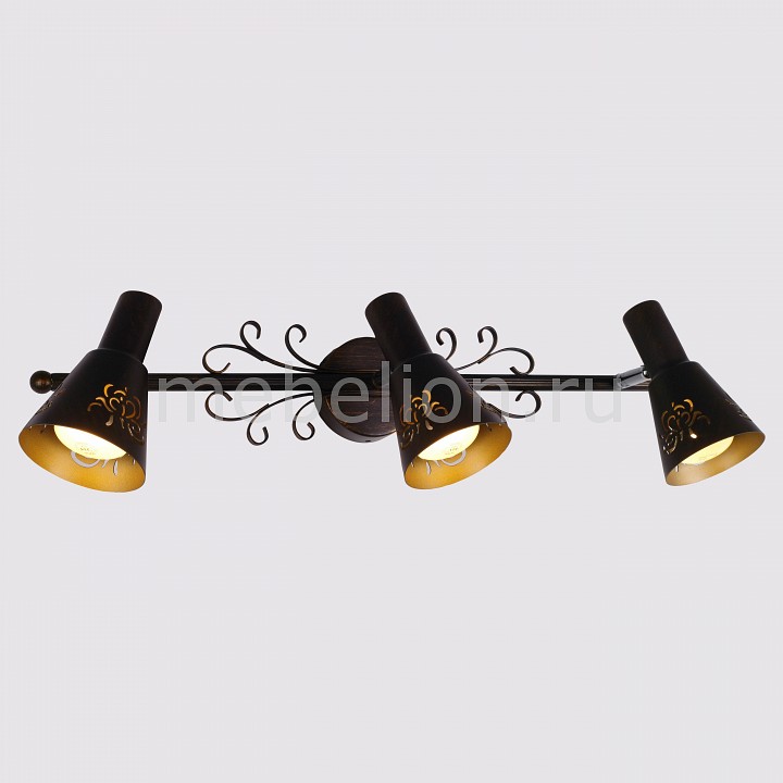 Citilux Дункан CL529531