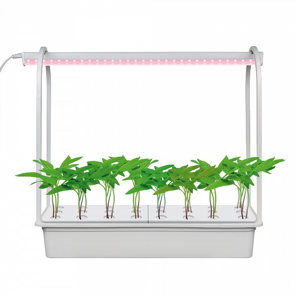 Подставка для цветов ULT-P44D ULT-P44D-10W/SPLE IP20 AQUA SIMPLE WHITE, ULT-P44D ULT-P44D-10W/SPLE IP20 AQUA SIMPLE WHITE
Подставка для цветов ULT-P44D ULT-P44D-10W/SPLE IP20 AQUA SIMPLE WHITE, ULT-P44D ULT-P44D-10W/SPLE IP20 AQUA SIMPLE WHITE