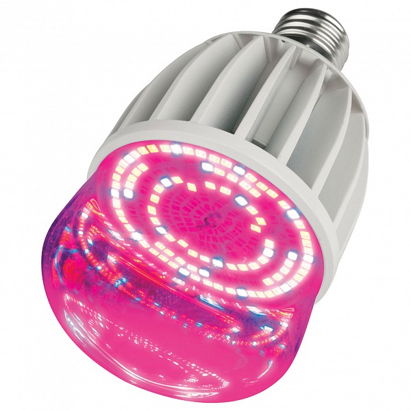 Лампа светодиодная LED-M80 E27 175-250В 20Вт фиолетовый LED-M80-20W/SP/E27/CL ALS55WH картон, LED-M80 E27 175-250В 20Вт фиолетовый LED-M80-20W/SP/E27/CL ALS55WH картон
Лампа светодиодная LED-M80 E27 175-250В 20Вт фиолетовый LED-M80-20W/SP/E27/CL ALS55WH картон, LED-M80 E27 175-250В 20Вт фиолетовый LED-M80-20W/SP/E27/CL ALS55WH картон