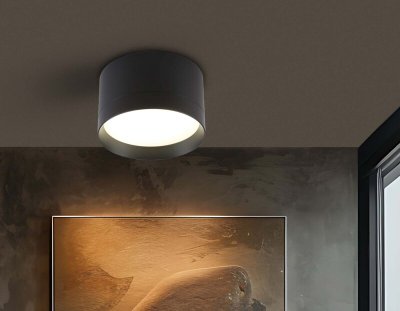 Светильник потолочный Ambrella Light TU (Россия)