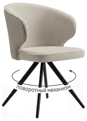 Стул DikLine 250