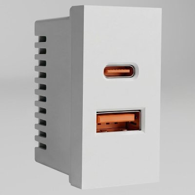 Розетка 2хUSB type A и C без рамки W1272701