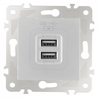 Розетка USB, без рамки 203.46-1.silver