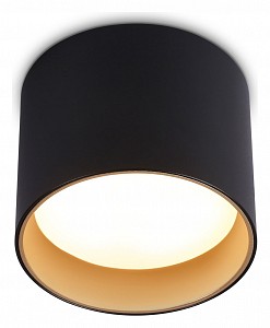 Светильник потолочный Ambrella Light TN (Россия)