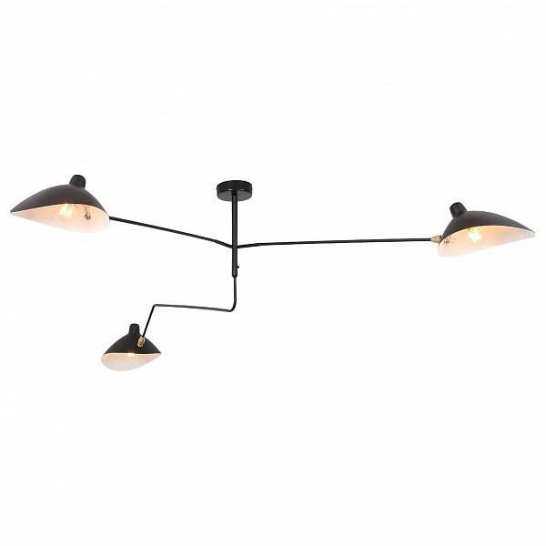 

Люстра на штанге Spruzzo SL305.402.03, Spruzzo SL305.402.03