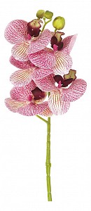 Цветок (70 см) Орхидея 9180084