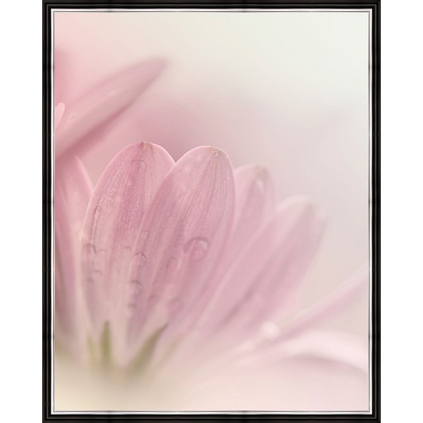 фото Картина (40х50 см) Нежно-розовый цветок BE-103-262 Ekoramka