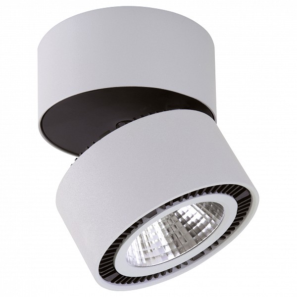 

Светильник на штанге Forte Muro LED 213839, Forte Muro LED 213839