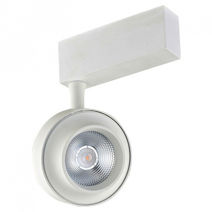 

Светильник на штанге DL1878 DL18784/01M White, DL1878 DL18784/01M White