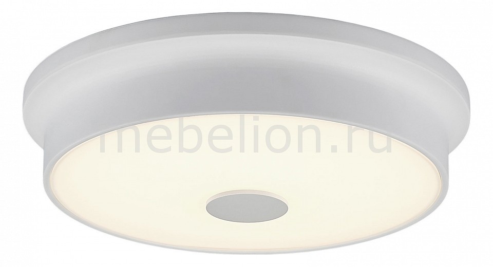 

Накладной светильник Фостер CL706220, Фостер CL706220