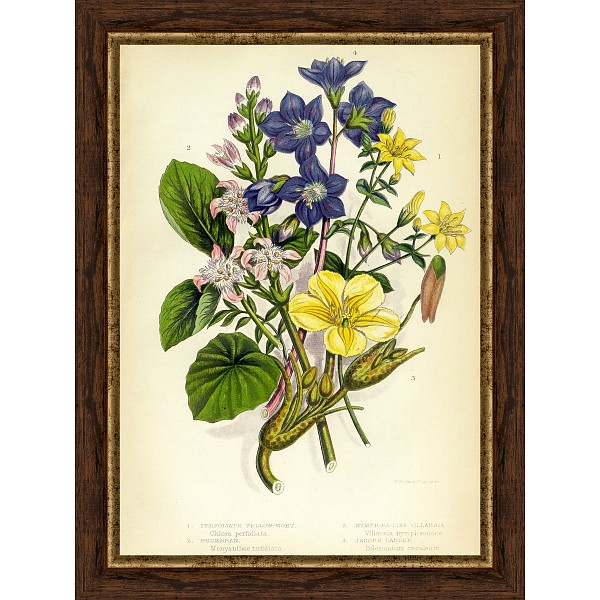 фото Картина (30х40 см) Цветы и растения BE-103-360 Ekoramka