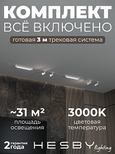 Встраиваемая однофазная трековая система Skylite №5 со светильниками (220В, форма - прямая, 3м, 3000K), белая