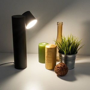 Настольная лампа декоративная Premier 80425/1 черный