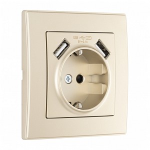 Розетка с заземлением и со шторкой и 2хUSB SET06-1 SET06-1-47-1 shampan