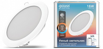 Светодиодный светильник Smart Home DIM Gauss (Китай)