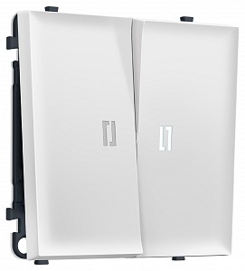 Выключатель двухклавишный с подсветкой без рамки MS MS124015