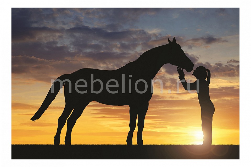 фото Панно (60х40 см) Девушка и лошадь 137231453 Ekoramka