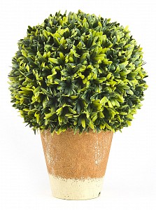 Растение в горшке (20x26.5 см) Бонсай 9900503