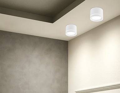 Светильник потолочный Ambrella Light TU (Россия)