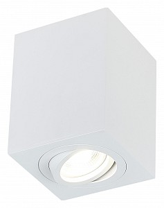 Накладной светильник 2038-1CLW