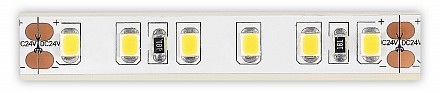 Лента светодиодная  ST1001.310.65.1 Лента светодиодная  ST1001.310.65.1