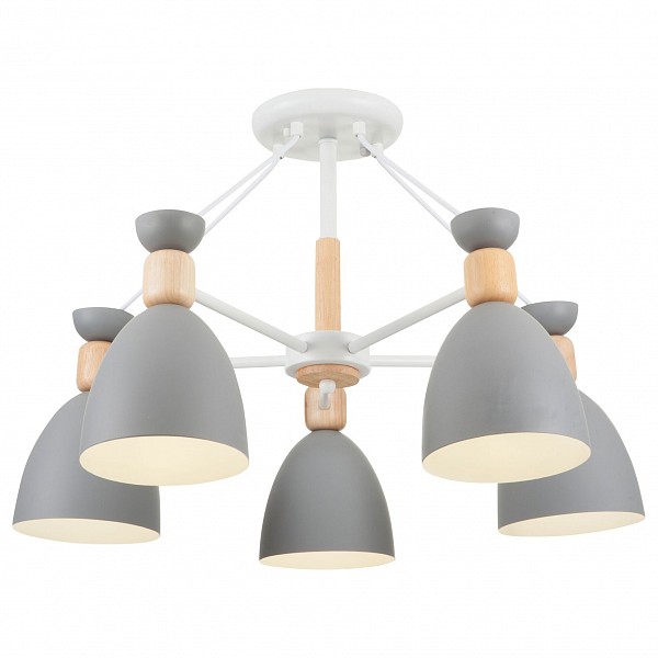 

Люстра на штанге Delia FR5033CL-05W, Delia FR5033CL-05W