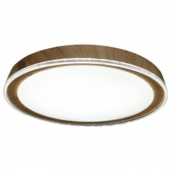 

Накладной светильник 10269 10269/S LED, 10269 10269/S LED
