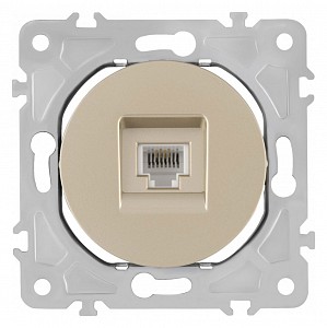 Розетка Ethernet RJ-45 без рамки 202.45-1.shampan