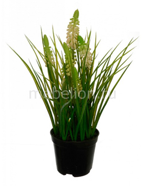 фото Растение в горшке (28 см) Лаванда 58021700 Home-religion