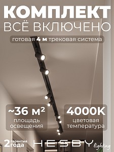Встраиваемая однофазная трековая система Skylite №3 со светильниками (220В, форма - прямая, 4м, 4000K), черная