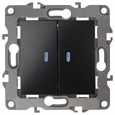 Выключатель двухклавишный с подсветкой без рамки Эра 12 12-1004-06