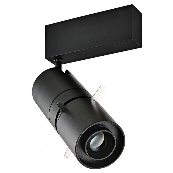 

Светильник на штанге DL1878 DL18783/01M Black, DL1878 DL18783/01M Black