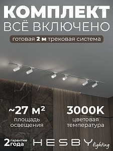 Встраиваемая однофазная трековая система Skylite №3 со светильниками (220В, форма - прямая, 2м, 3000K), белая