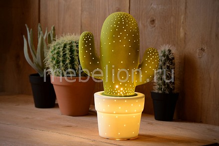 Настольная лампа декоративная Cactus 13513/01/33