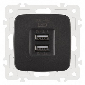 Розетка USB, без рамки 205.46-1.black