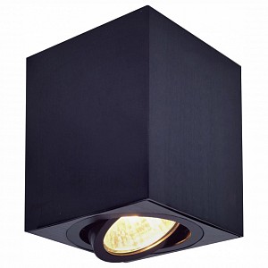 Настенно-потолочный светильник Дюрен Citilux (Дания)