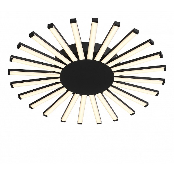 

Накладной светильник Paralleli SL839.412.24, Paralleli SL839.412.24