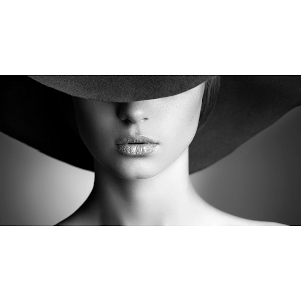 фото Картина (120х60 см) Дама в шляпе HE-102-148 Ekoramka