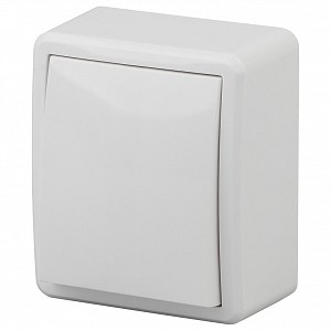 Переключатель одноклавишный Эра Эксперт 11-1203-01