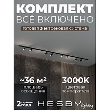 Накладная однофазная трековая система Skylite №3 со светильниками (220В, форма - прямая, 3м, 3000K), черная