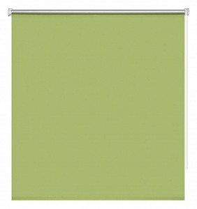 Рулонная штора Блэкаут Плайн 80x160 см., цвет зеленый 