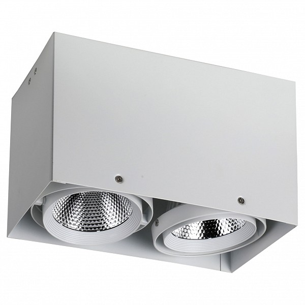 

Накладной светильник Flashled 1986-2U, Flashled 1986-2U