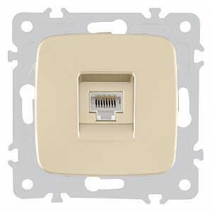 Розетка Ethernet RJ-45 без рамки 205.45-1.shampan